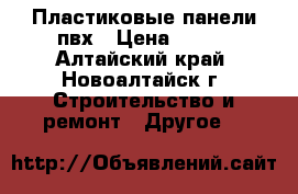 Пластиковые панели пвх › Цена ­ 100 - Алтайский край, Новоалтайск г. Строительство и ремонт » Другое   